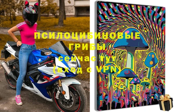 spice Балабаново