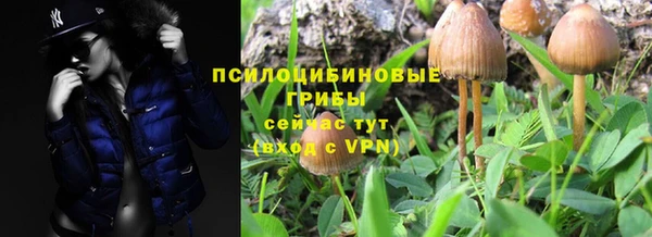 spice Балабаново