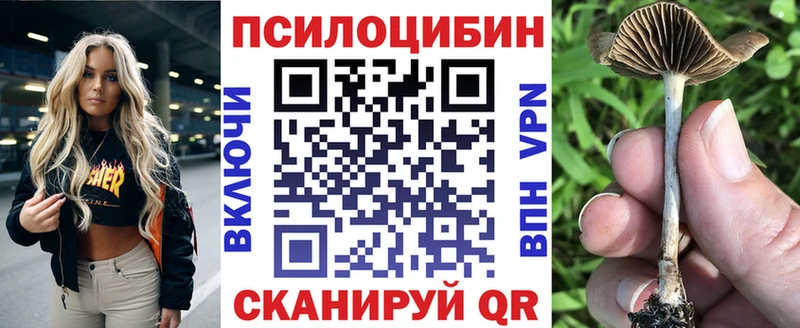 Псилоцибиновые грибы Psilocybine cubensis  Купить  Фурманов 